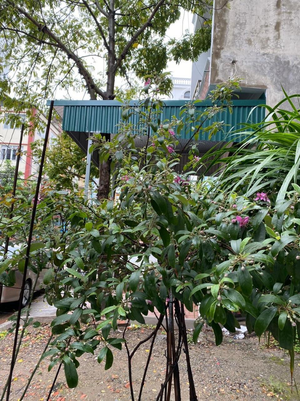 Bed and Breakfast Nha Nghi Anh Dung Hạ Long Exterior foto
